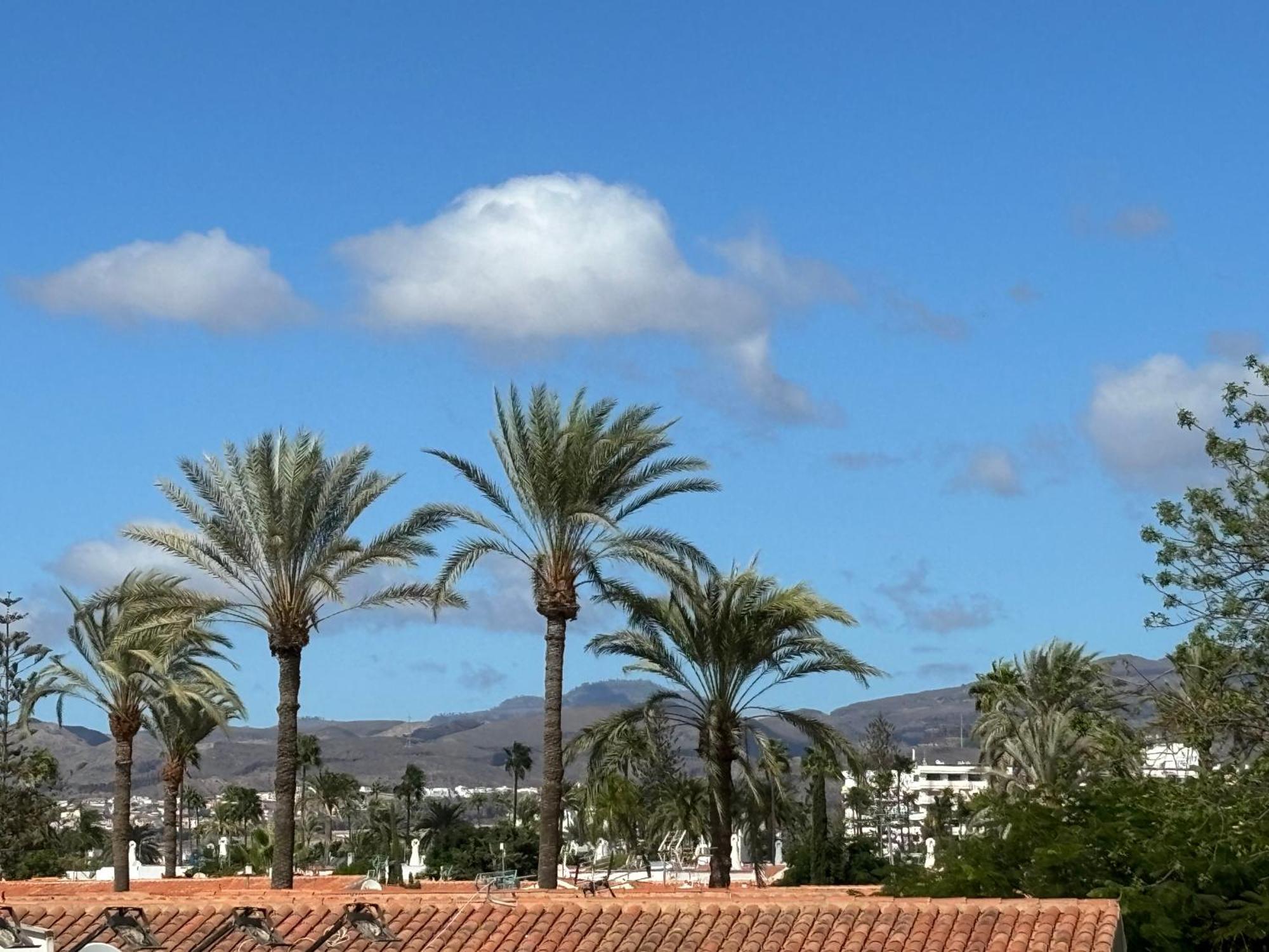 Loris Home Playa Ingles 50Mt From Yumbo By Luca Properties Gran Canaria San Bartolomé 外观 照片